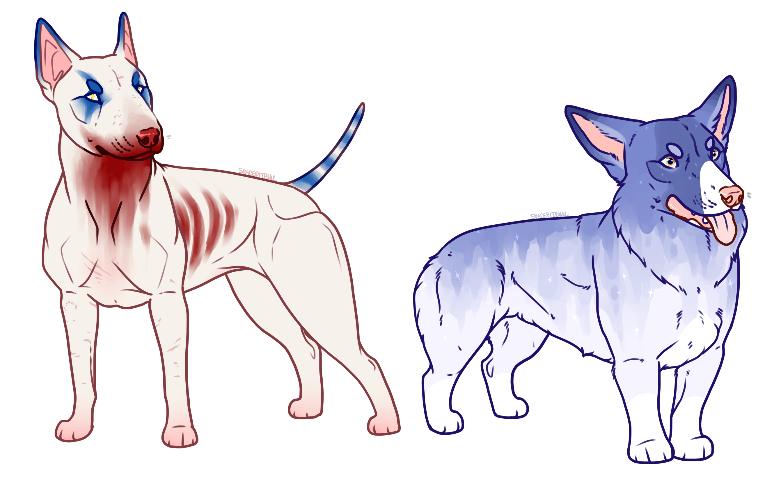 Corgi hot sale bull terrier