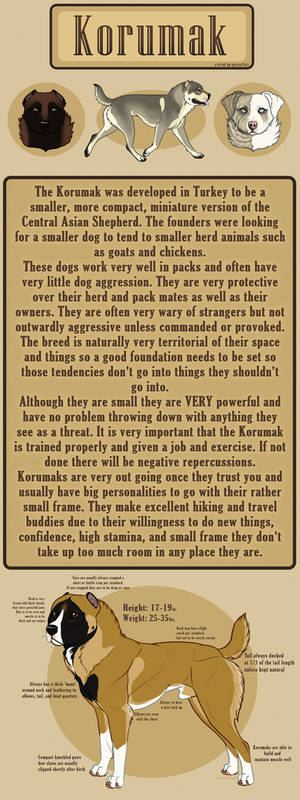 Korumak Breed Sheet (Imports Closed)