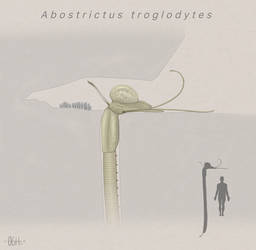 Abostrictus troglodytes
