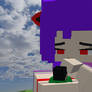 Page 11/11