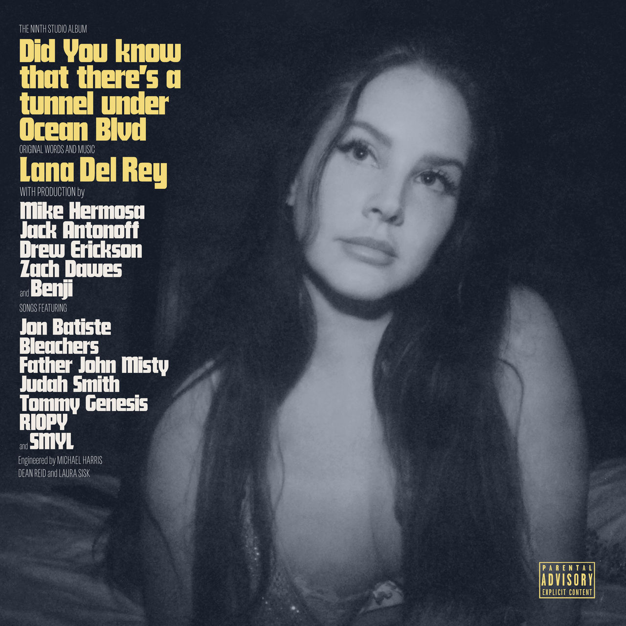 Lana Del Rey Tunnel Under Ocean Blvd By KallumLavigne On DeviantArt Lana del rey tunnel under ocean blvd by kallumlavigne on deviantart