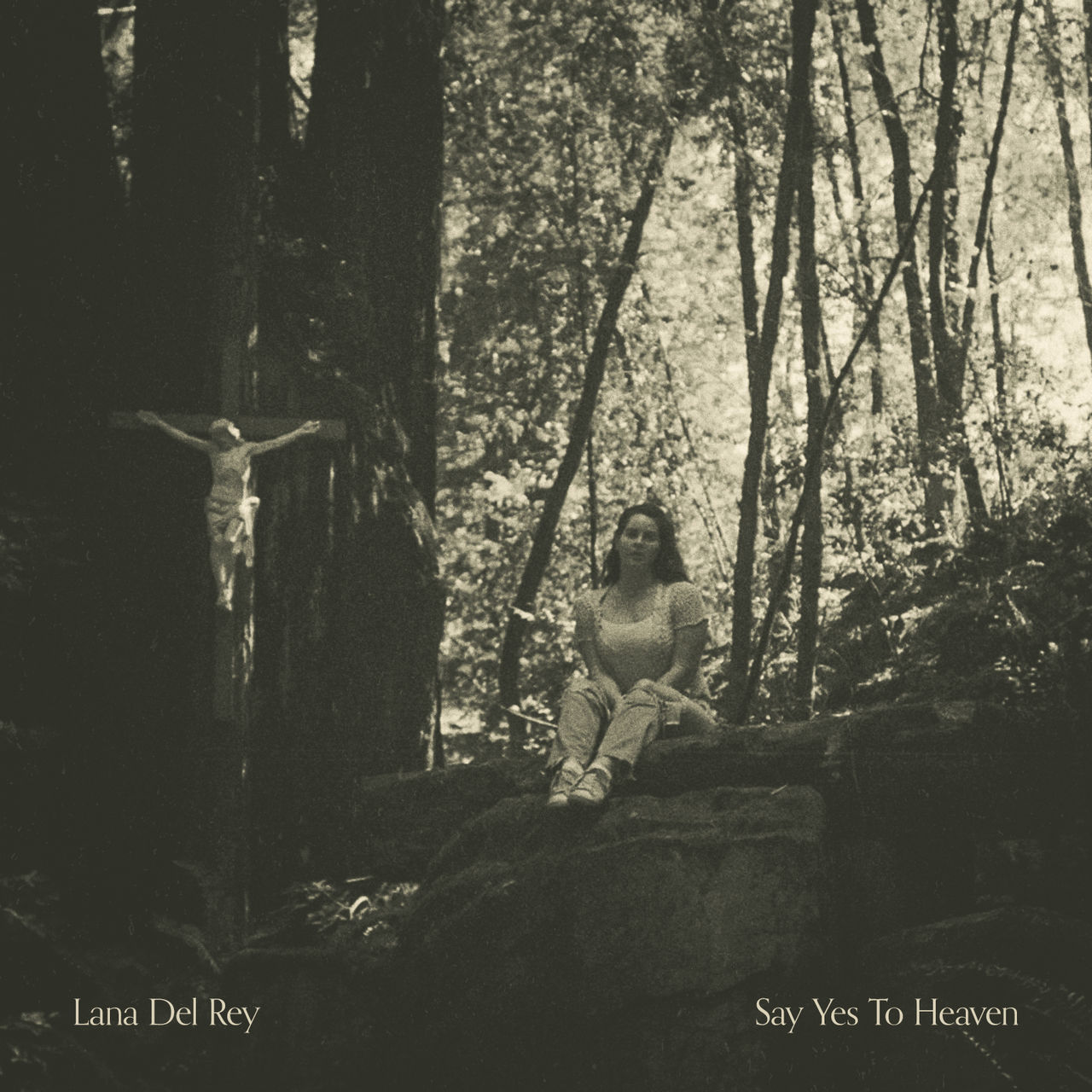Lana Del Rey - Love  Back Cover by rodrigomndzz on DeviantArt