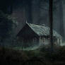The Cabin in the woods