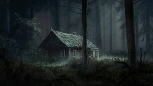 The Cabin in the woods
