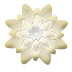 Flor PNG