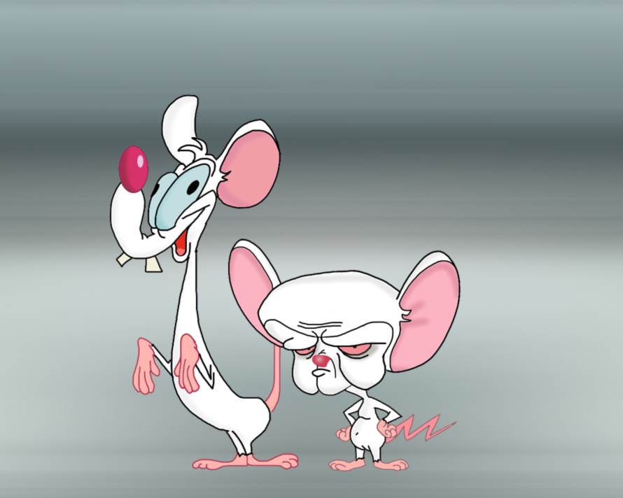 pinky and the brain