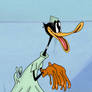 Nut ward Daffy