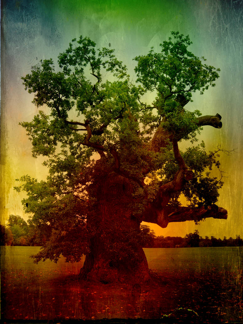 The Tree by Voondabah69 on DeviantArt