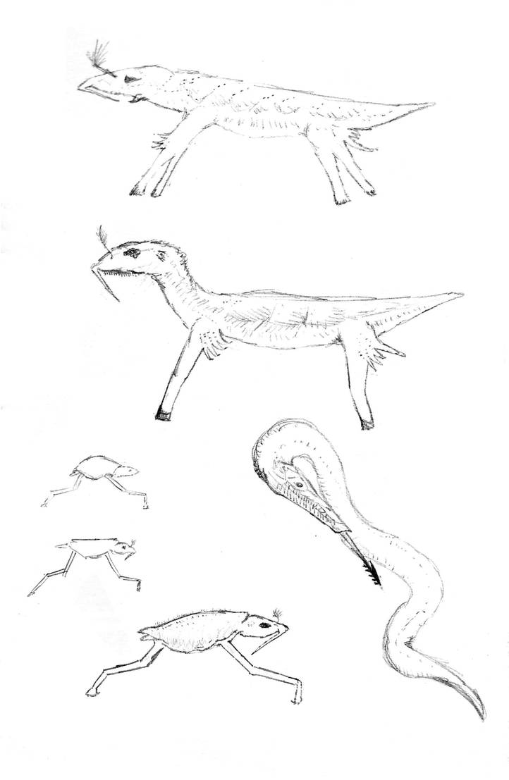 Aliens or future animals of Earth by bicyclefrog on DeviantArt