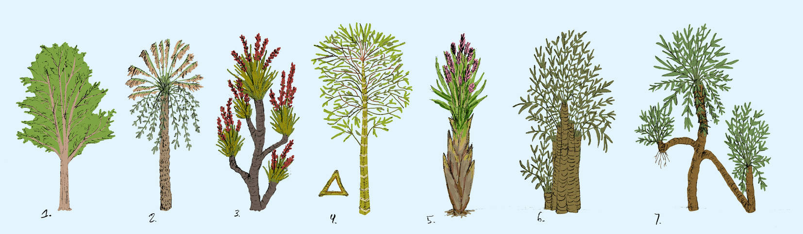 Frog Planet - Trees evolved from grass