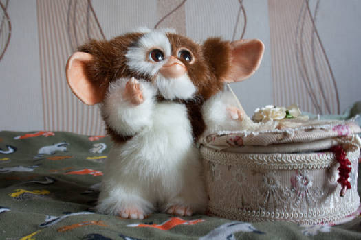 Gizmo Magwai