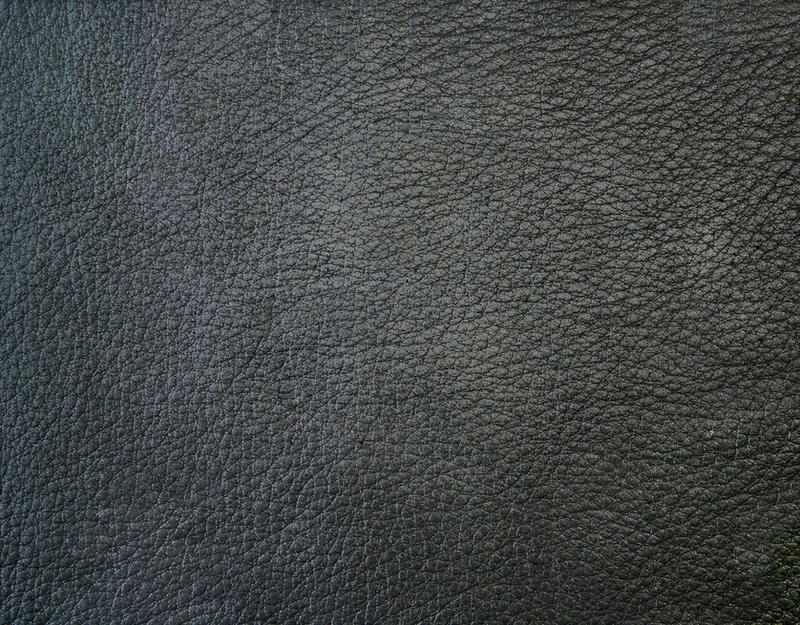 AVATAR Movie Leather Texture