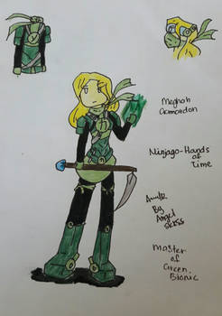 Meghan Gamardon-Ninjago