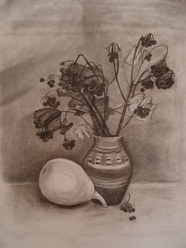 Rowan, coal on paper