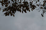 IMG_4848 by Destinytte