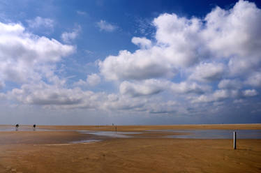 Texel: the beach