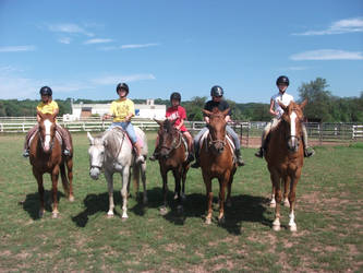 Horse Camp, First Day Lineup