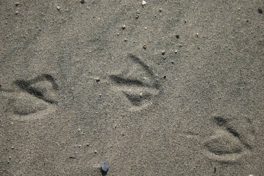 Footprints