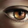 Gold brown eye