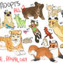 OPEN $1 ADOPTIONS