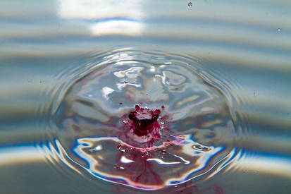 Drop of Wine