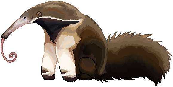 anteater