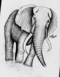 Sketch #1 ELEPHANT