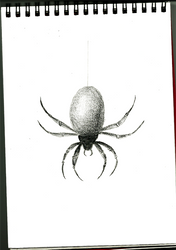 Sketch #2 SPIDER
