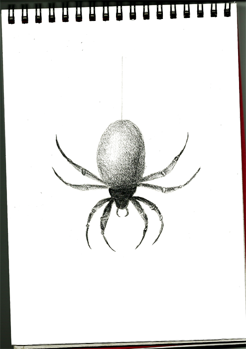 Sketch #2 SPIDER