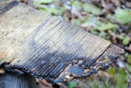 Charred Wood