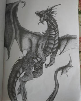 One sketch of the dragon