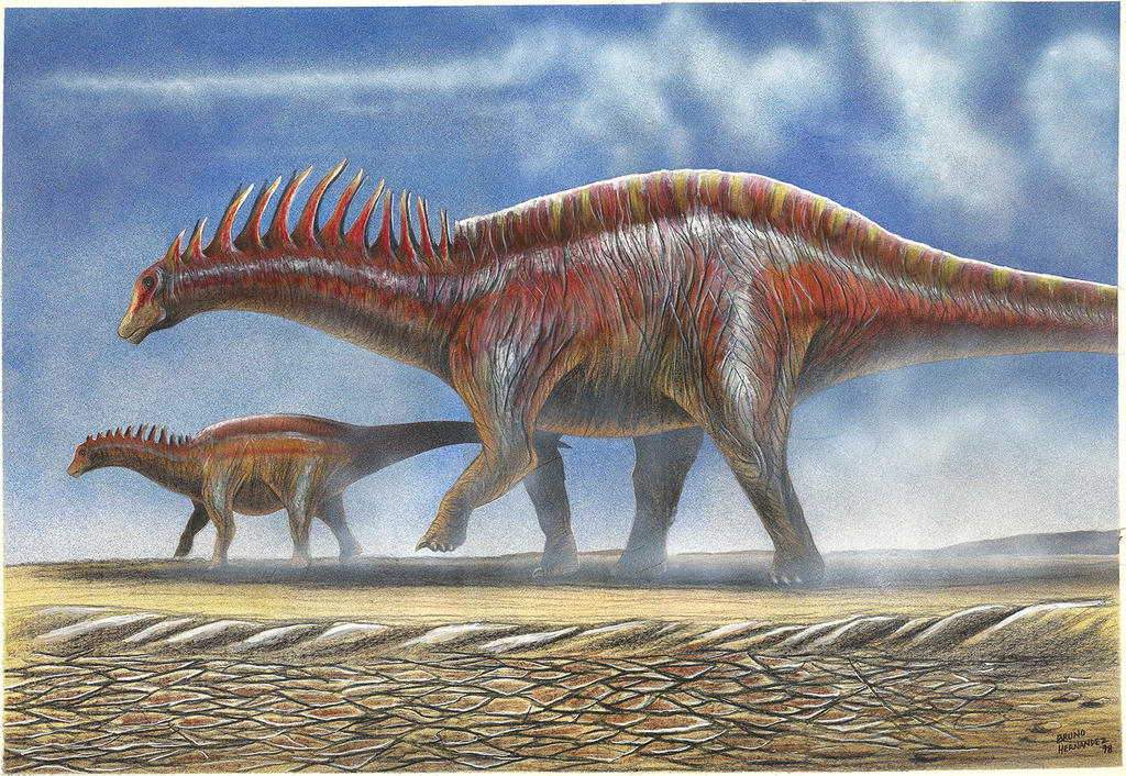 Amargasaurus Cazaui By Christoferson On DeviantArt amargasaurus-cazaui-by-christoferson-on-deviantart
