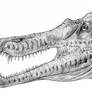 Spinosaurus aegyptiacus