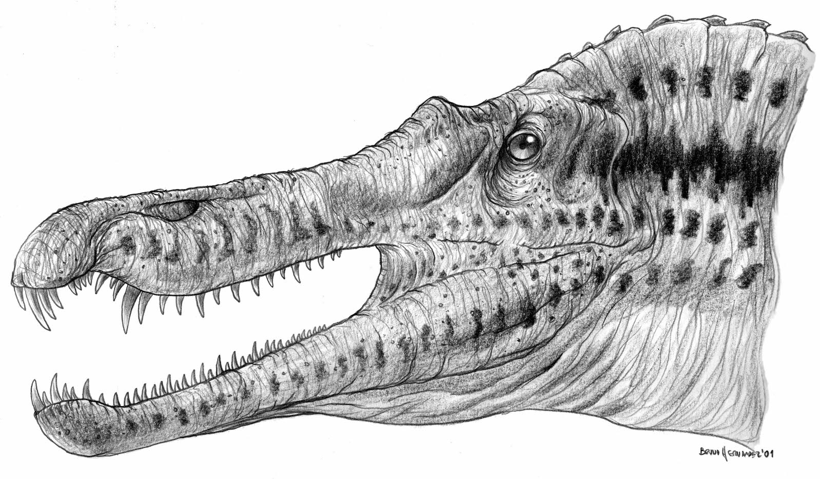 Spinosaurus aegyptiacus