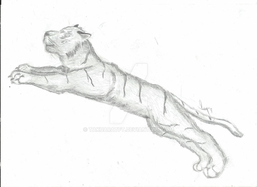 Deviantart Animal Jumping feral jumping by takuaraTFT on DeviantArt