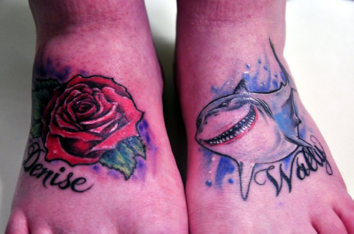 Shark and Rose