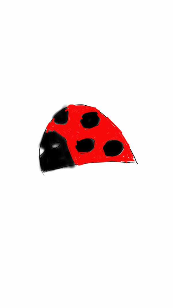 Fly Bug Deviantart FLYING INSECT by SuperSweet24 on DeviantArt