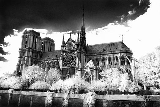 Notre Dame Cathederal