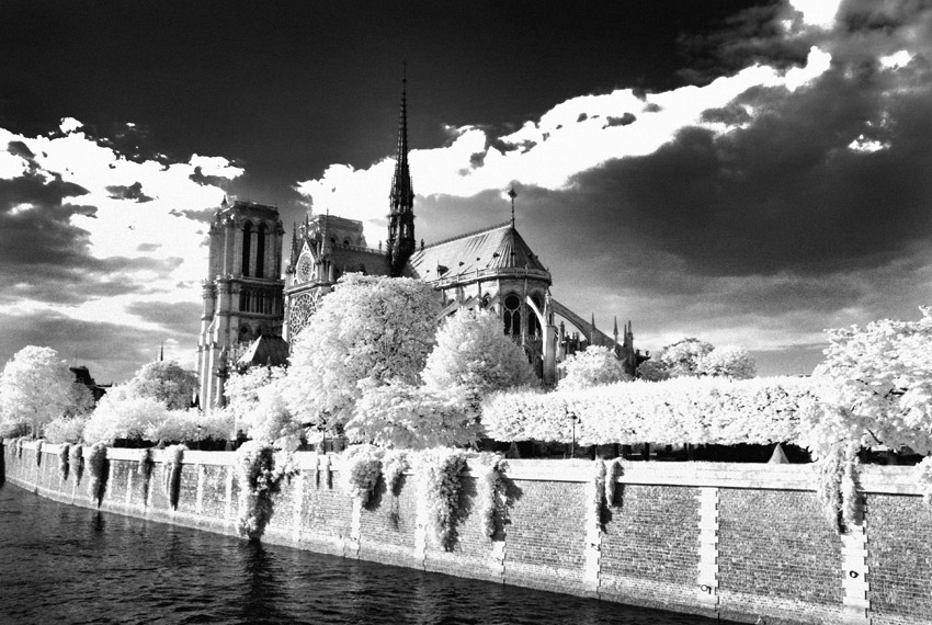 Notre Dame