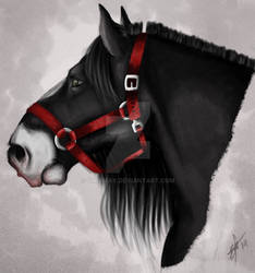 Black Horse