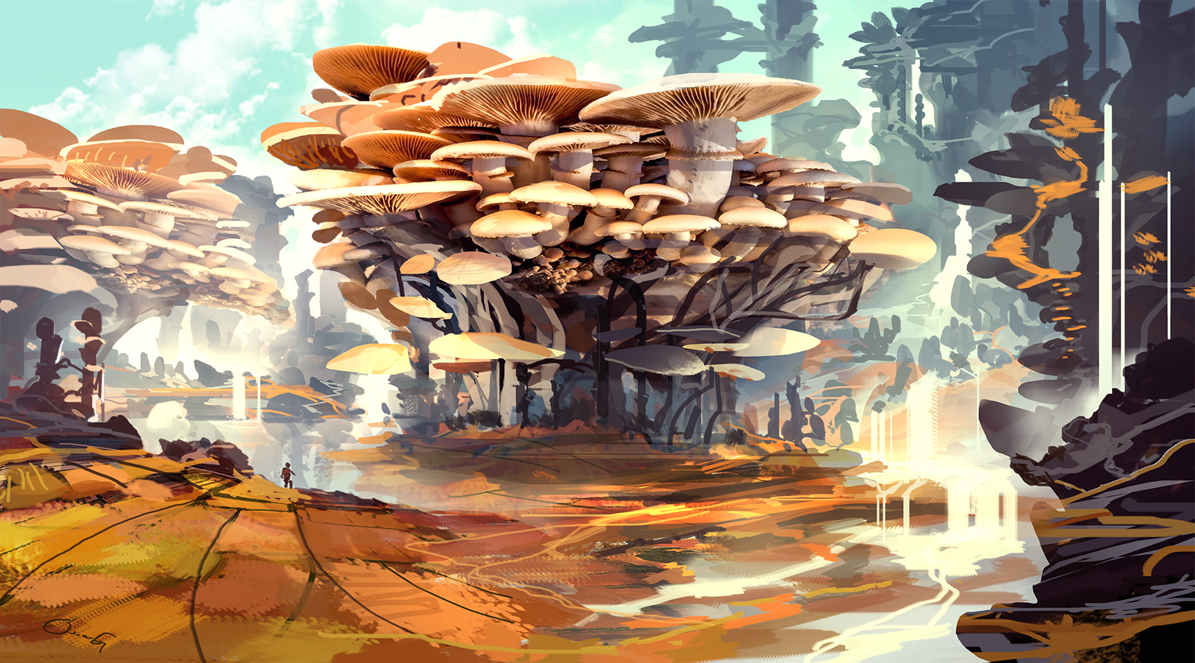 Mushroom Paradise