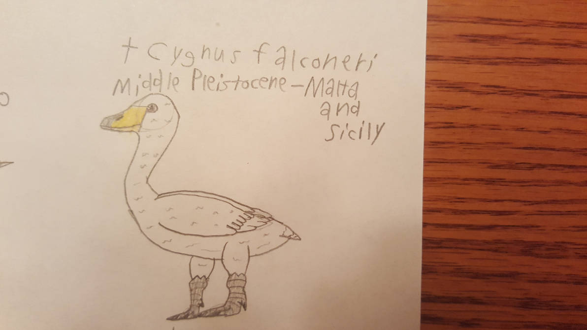 Cygnus falconeri by RebootTheProtogen on DeviantArt