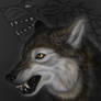 Stark Direwolves: Nymeria