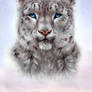 Winter snow leopard