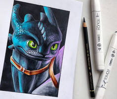 Marker Toothless