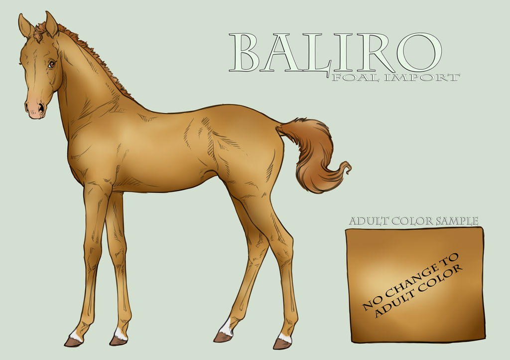 Baliro Import 0041