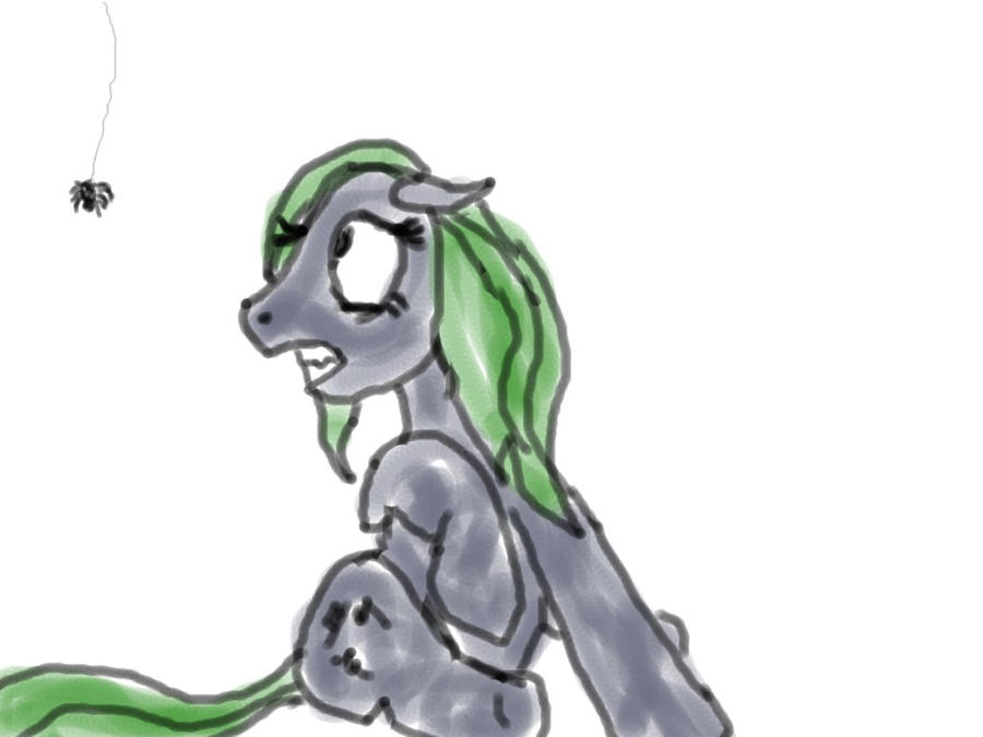 My ponies reaction to a spider