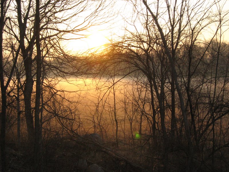 Early Spring Fog Foggy morning in Early Spring by Foxytocin on DeviantArt