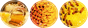 honeycomb . sf attack Minecraft Skin