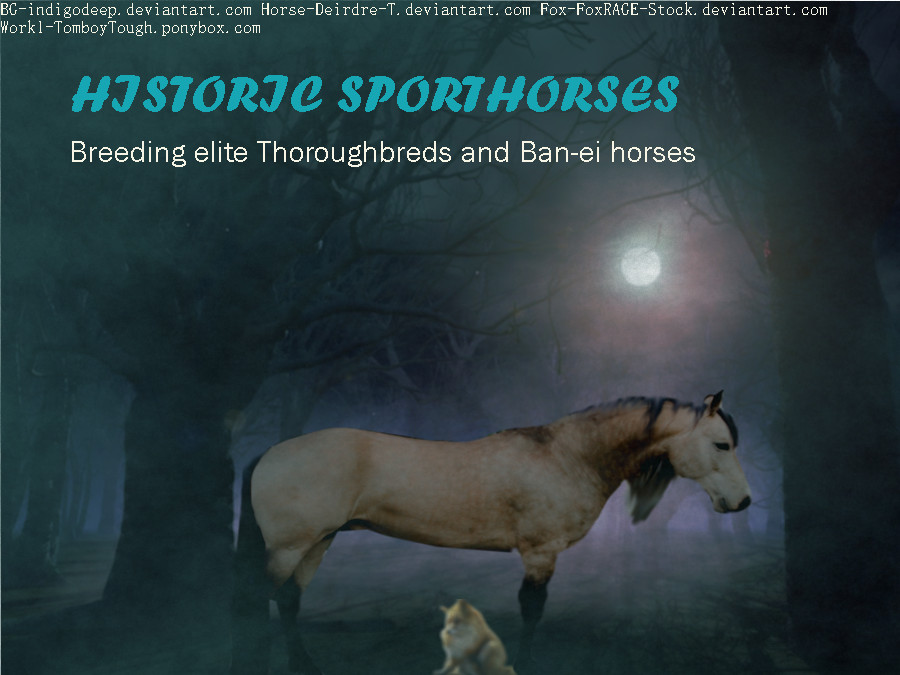 Historic Sporthorses contest entry